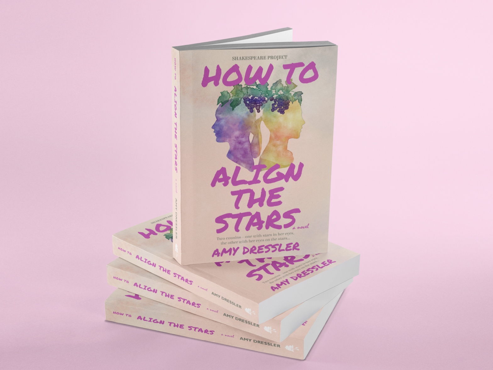 paperback amy dressler how to align the stars